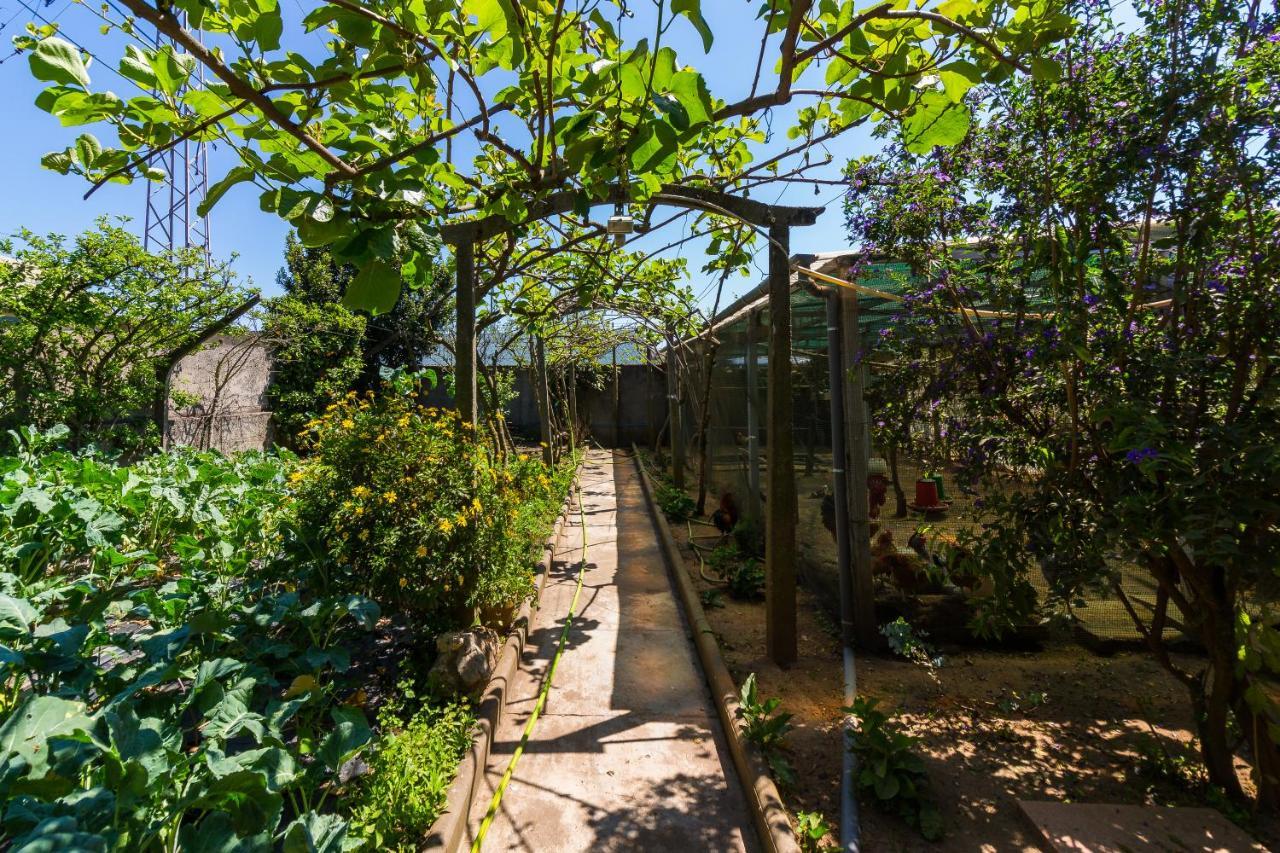 Araujo 111 - Traditional House Leca do Balio Exterior photo